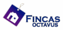 Fincas octavus