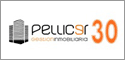 Pellicer Gestión Inmobiliaria