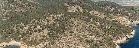 ply2282_imgIB-061.jpg ply2282_imgIB-061.jpg