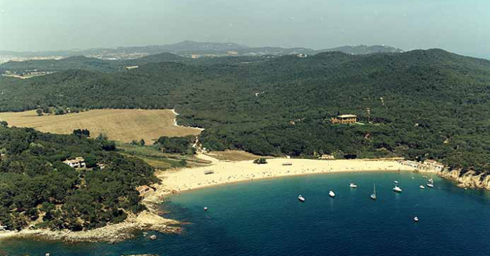 Playa El Castell, Palamós, Girona / Fuente: mapama.gob.es