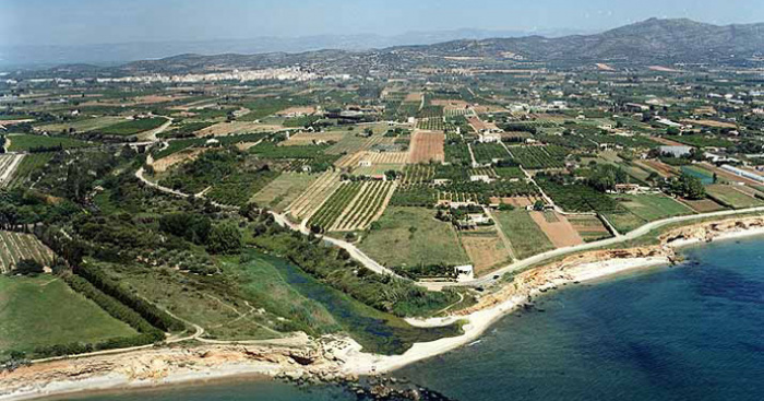 Playa Riu de la Sénia, Vinaròs, Castellón / Fuente: mapama.gob.es