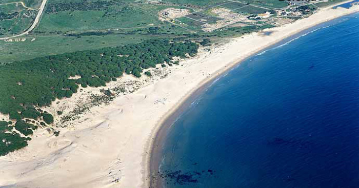 Playa Bolonia, Tarifa, Cádiz / Fuente: mapama.gob.es
