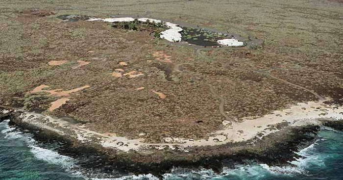 Playa Punta Usaje, Haría, Lanzarote — idealista