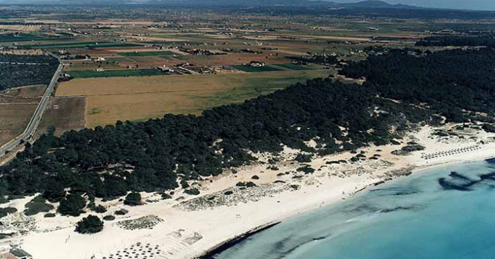 Playa S'Arenal de Sa Rápita, Campos, Mallorca / Fuente: mapama.gob.es