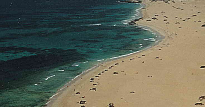 Playa El Pozo, La Oliva, Fuerteventura / Fuente: mapama.gob.es