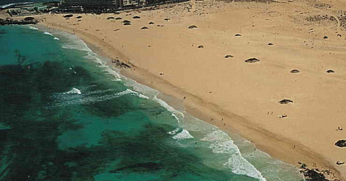 Playa El Viejo, La Oliva, Fuerteventura / Fuente: mapama.gob.es