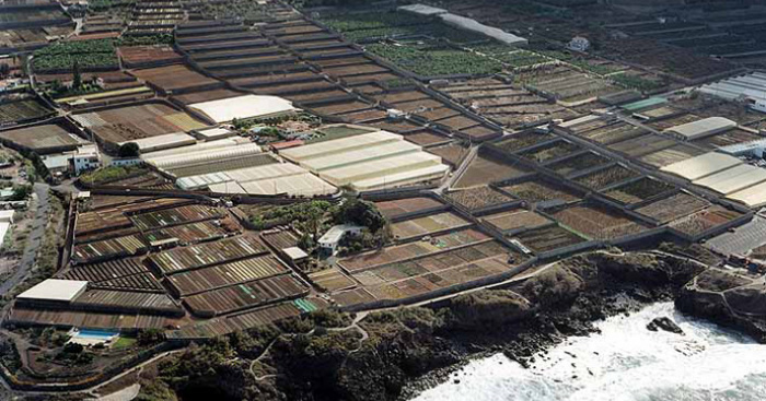 Playa Las Mujeres, Buenavista del Norte, Tenerife / Fuente: mapama.gob.es