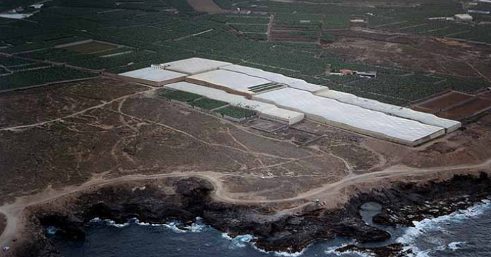 Playa Charco de la Araña, Los Silos, Tenerife / Fuente: mapama.gob.es