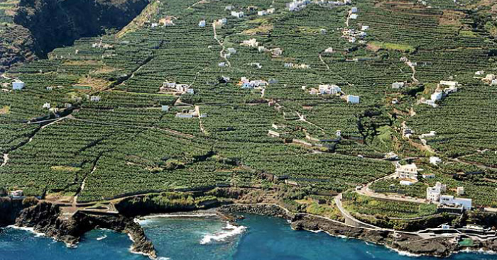 Playa El Varadero, San Andrés y Sauces, La Palma / Fuente: mapama.gob.es