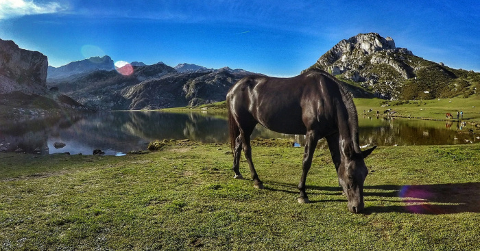 Covadonga is slechts een van de ongelooflijke bergmeren in Spanje Covadonga is slechts een van de ongelooflijke bergmeren in Spanje