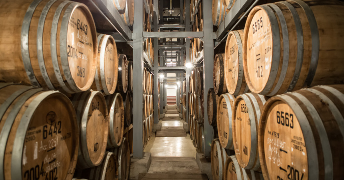 Visit Spanish bodega wineries, among the best winemakers worldwide Visit Spanish bodega wineries, among the best winemakers worldwide