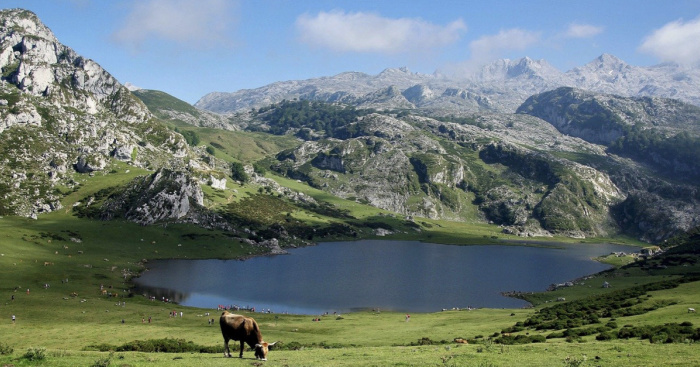 Visit Covadonga in Asturias