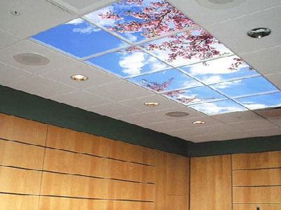 Cómo hacer que todo el mundo se fije en el techo de tu casa y diga