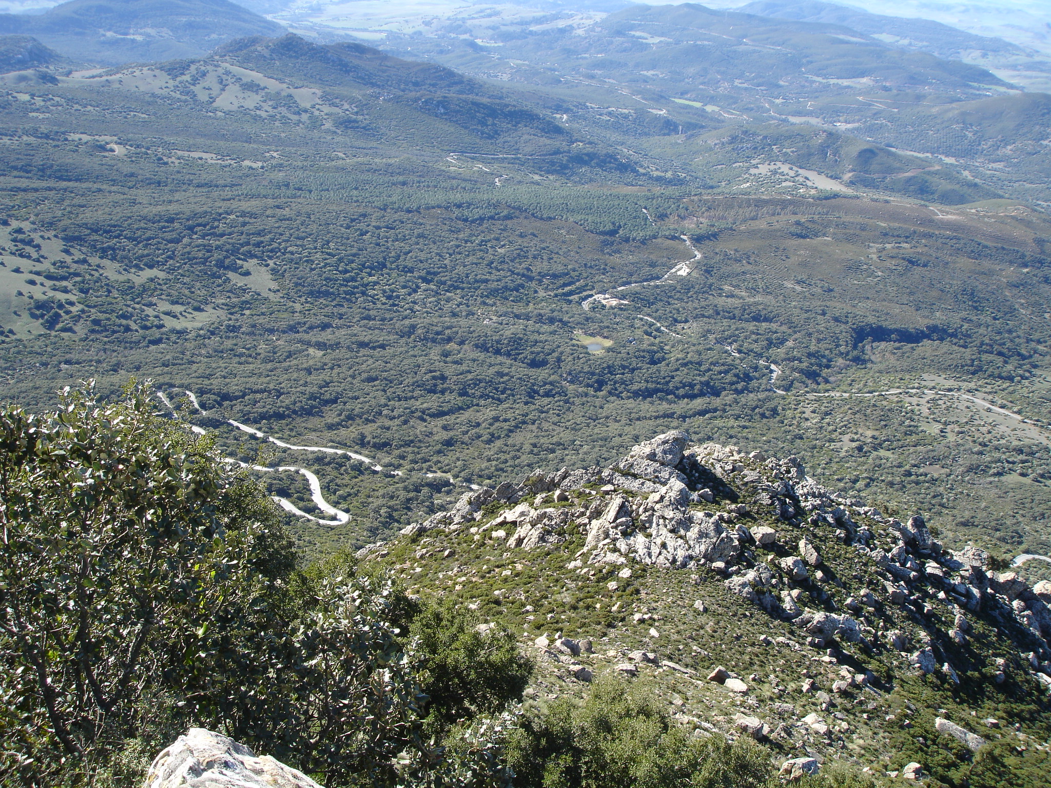 Parque Natural de los Alcornocales, qué ver y rutas de senderismo ...