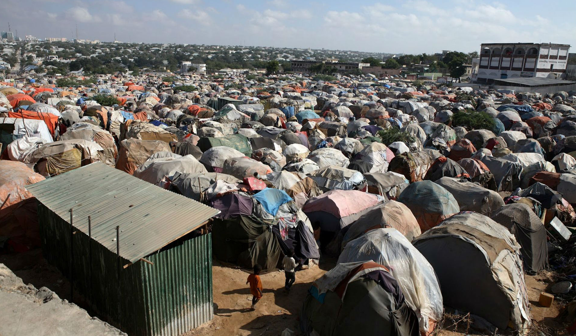 Arquitectura de los desplazados así son