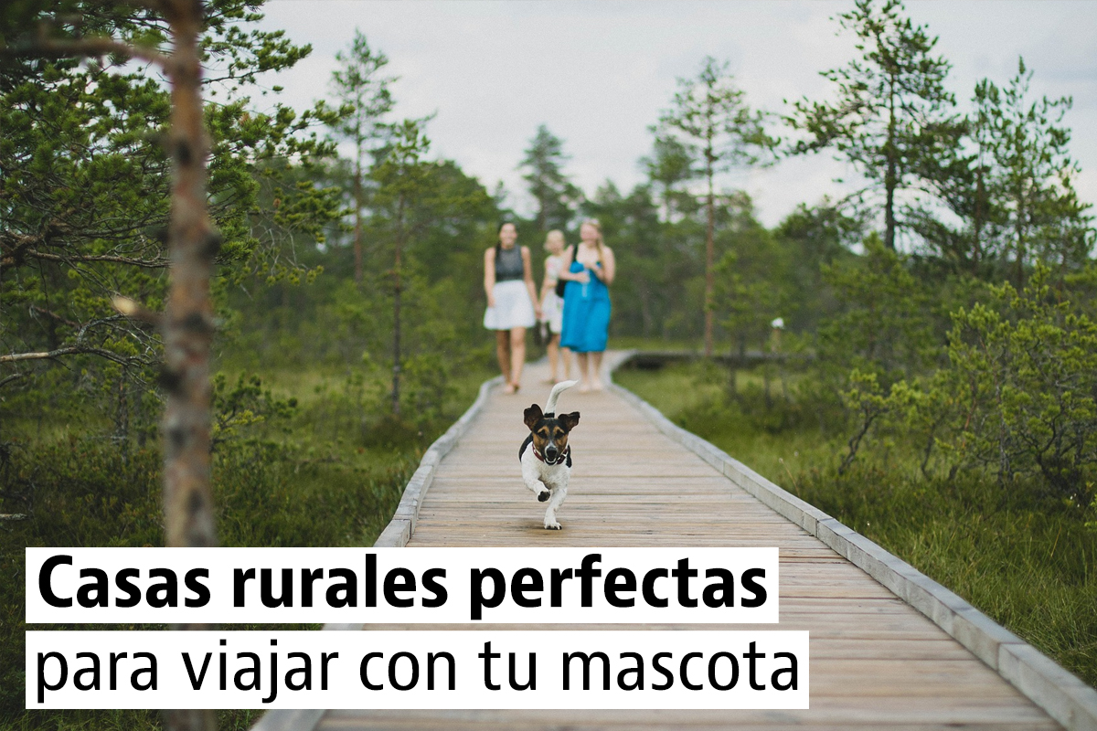 Casas Rurales Para Una Escapada Con Tu Mascota Idealista News