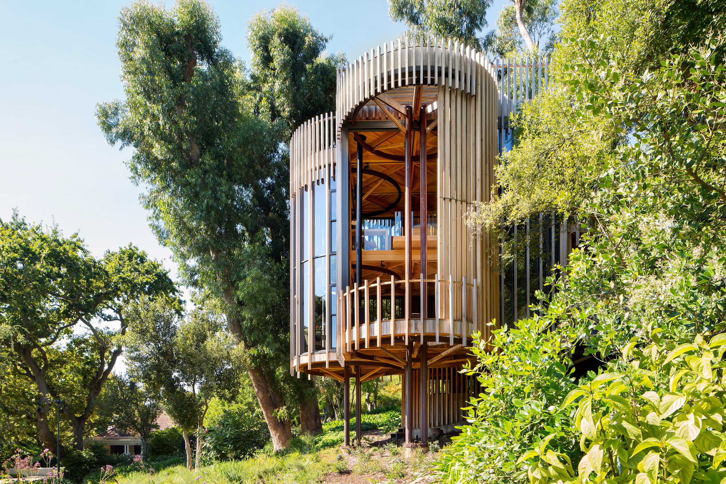 Casas de ensueño: una increíble villa con forma de árbol en Sudáfrica