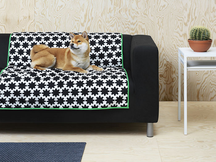 ikea no compres perro en ikea tweet ikea no compres perro en ikea tweet
