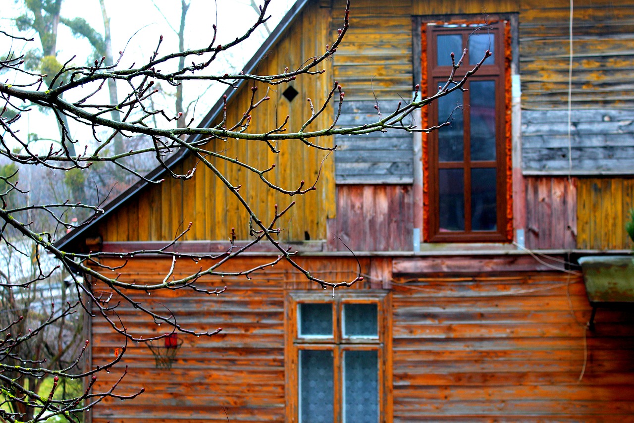 Foto: Pixabay