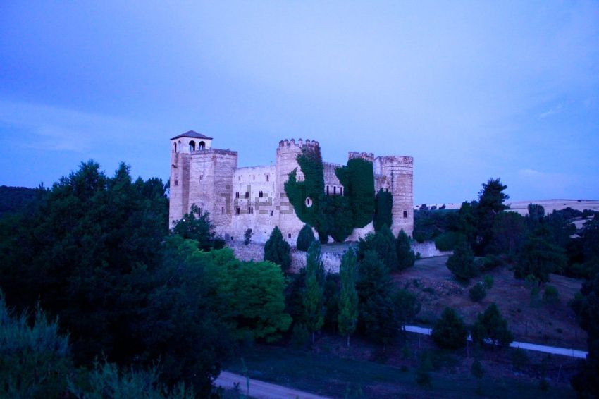 Detalle del castillo y su entorno