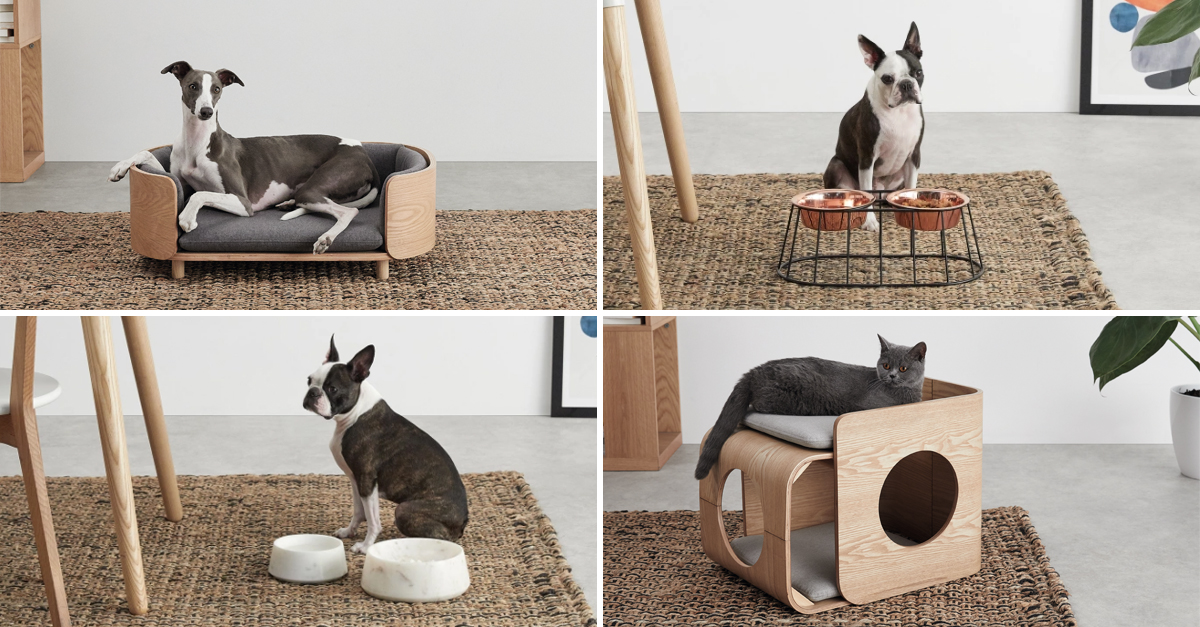 Llegan Los Muebles Cool Para Mascotas Porque Ellos También Lo Valen Idealista News
