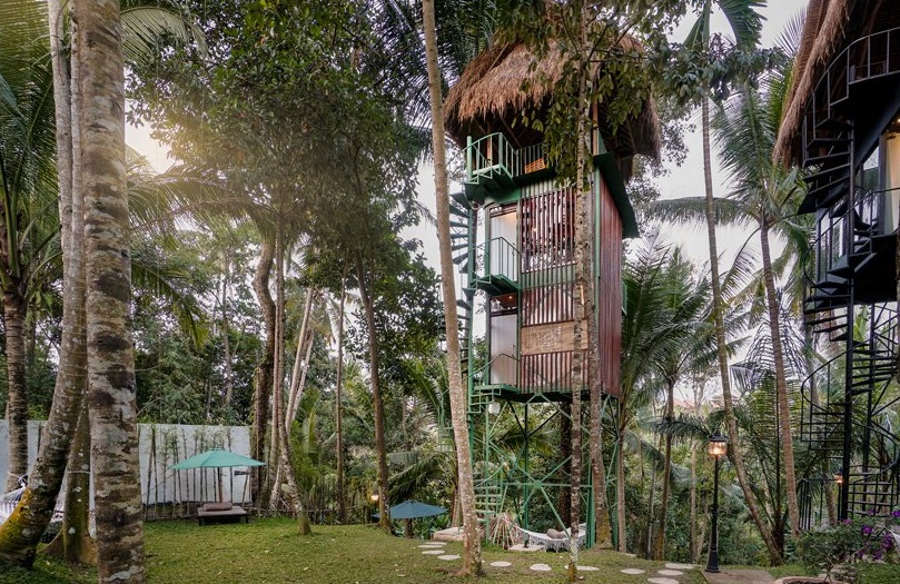 Rodeadas de árboles