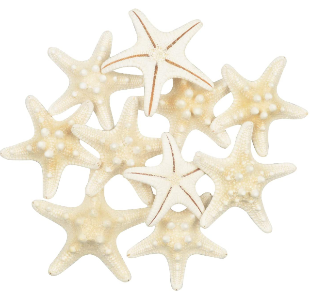 Por ejemplo, para decorar una bandeja