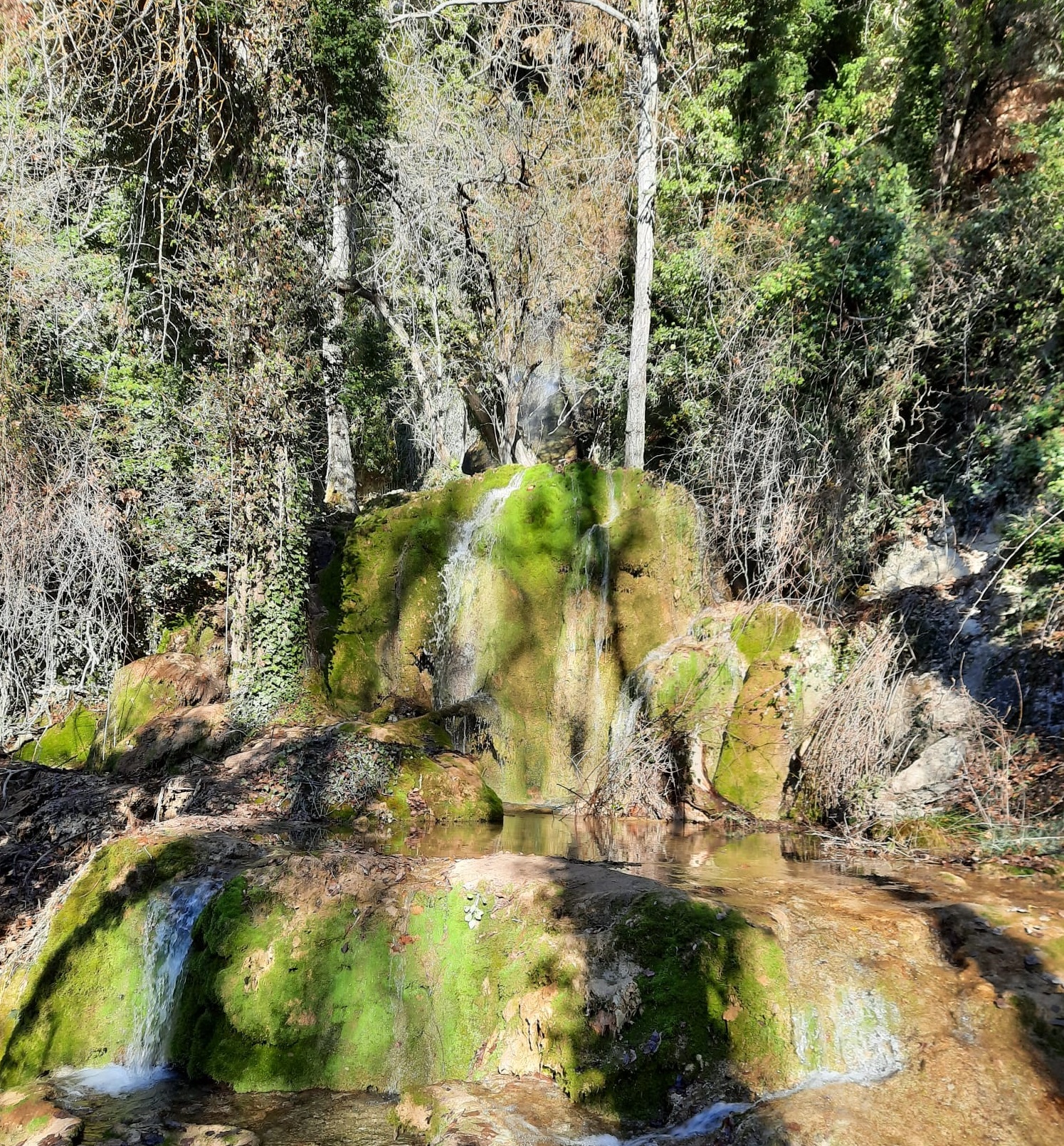 Tiene su propia cascada