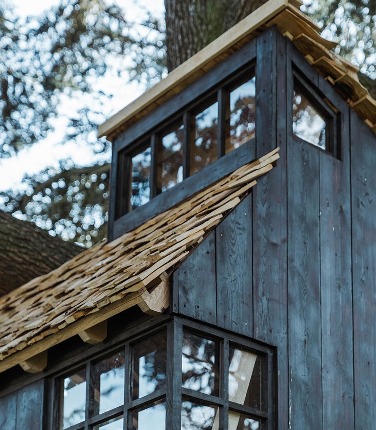 Un juego de contrastes