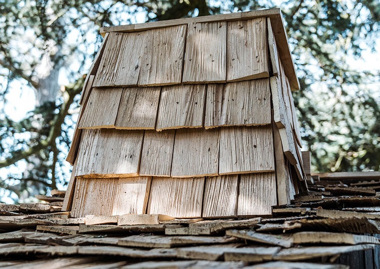 Un proyecto del estudio de Cox