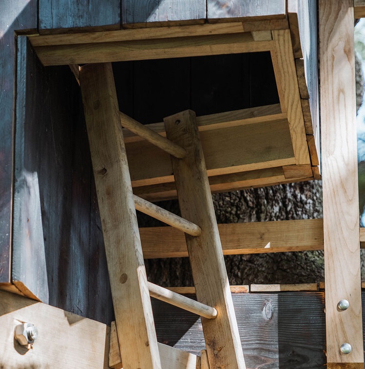 Su diseño, pensado para no dañar el árbol