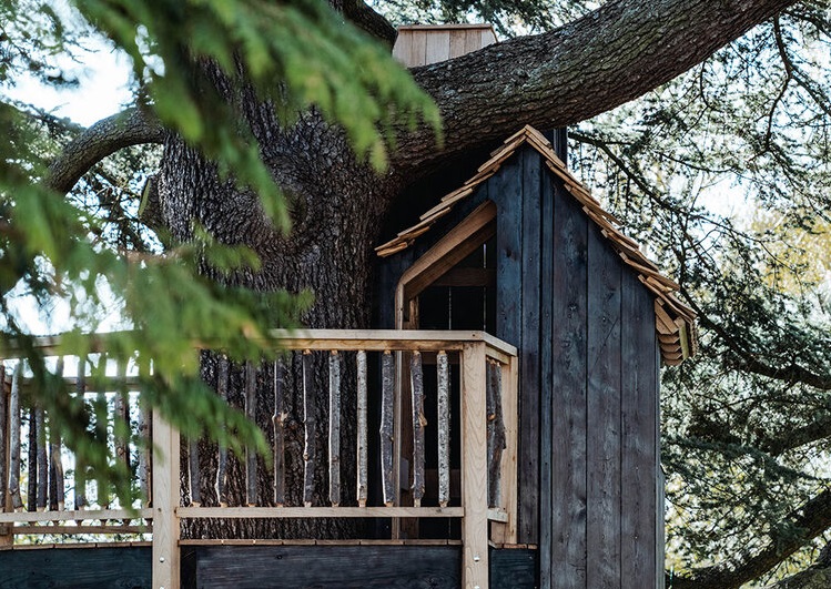 Está anclada al árbol por cuatro puntos