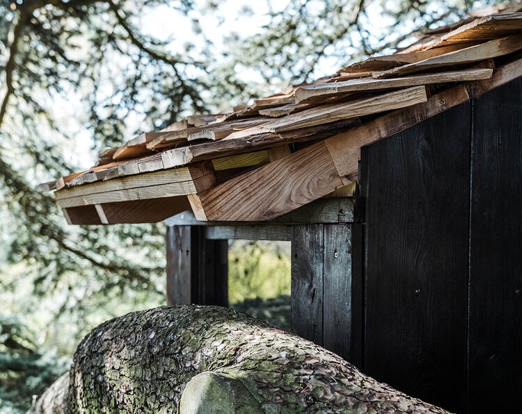 Parece que la casa brota de las ramas