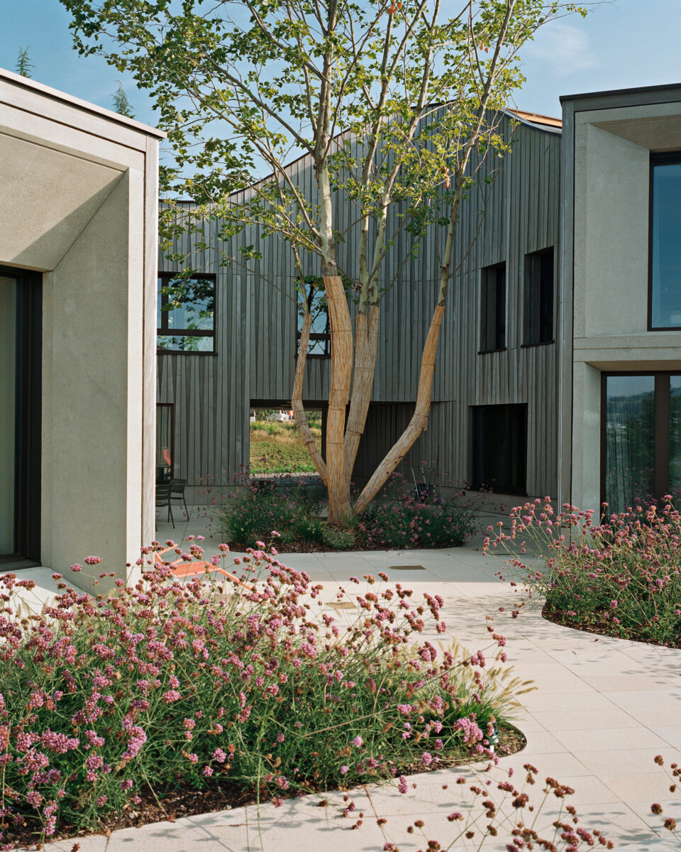 El árbol da personalidad a la casa