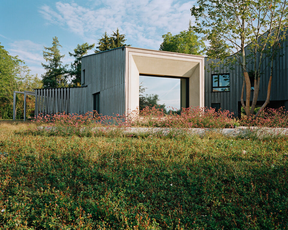 Para dejar paso a la luz y disfrutar del entorno