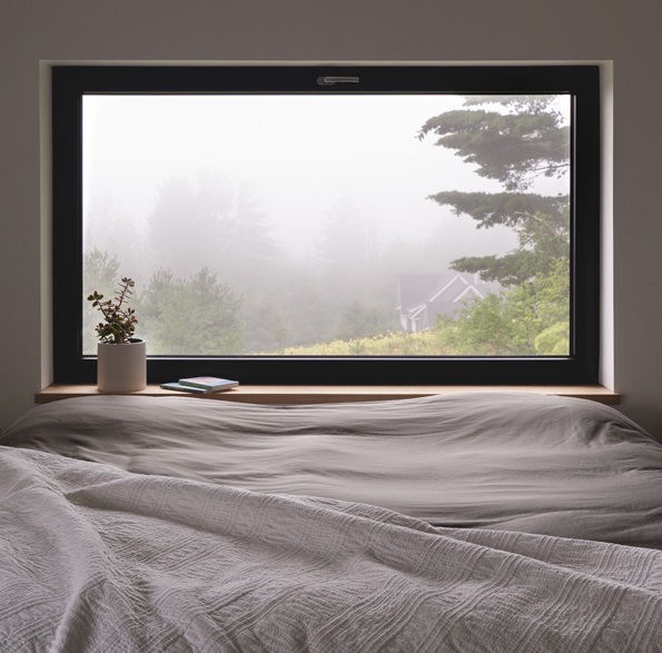 El terreno tiene una hectárea