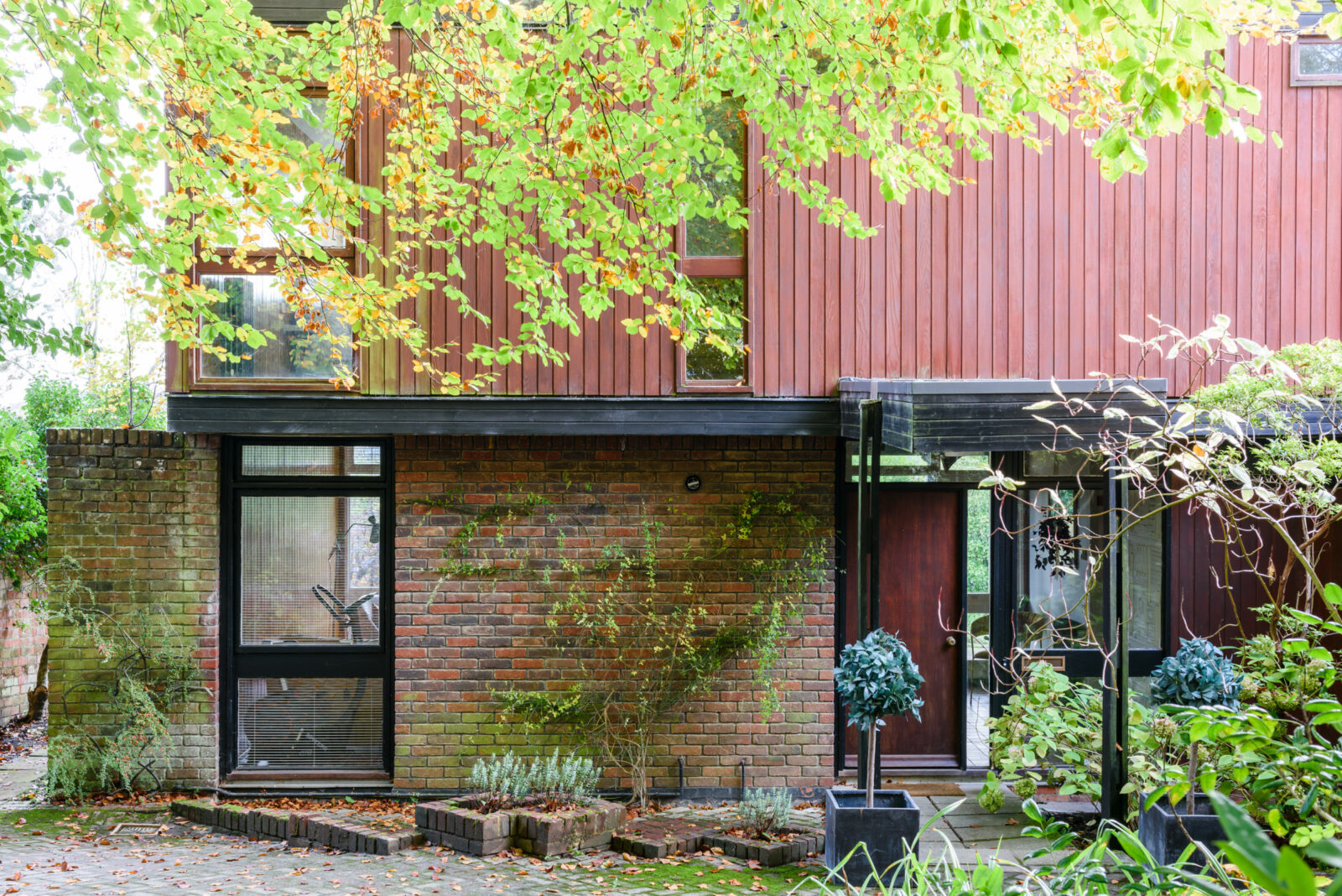 Rodeada de naturaleza