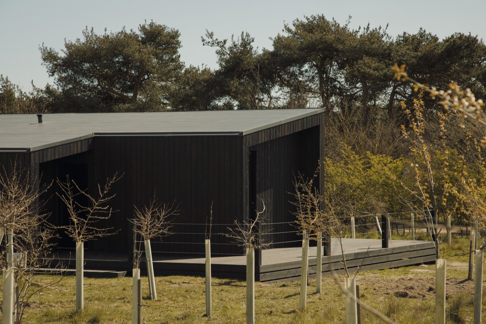 La cabaña está rodeada de árboles