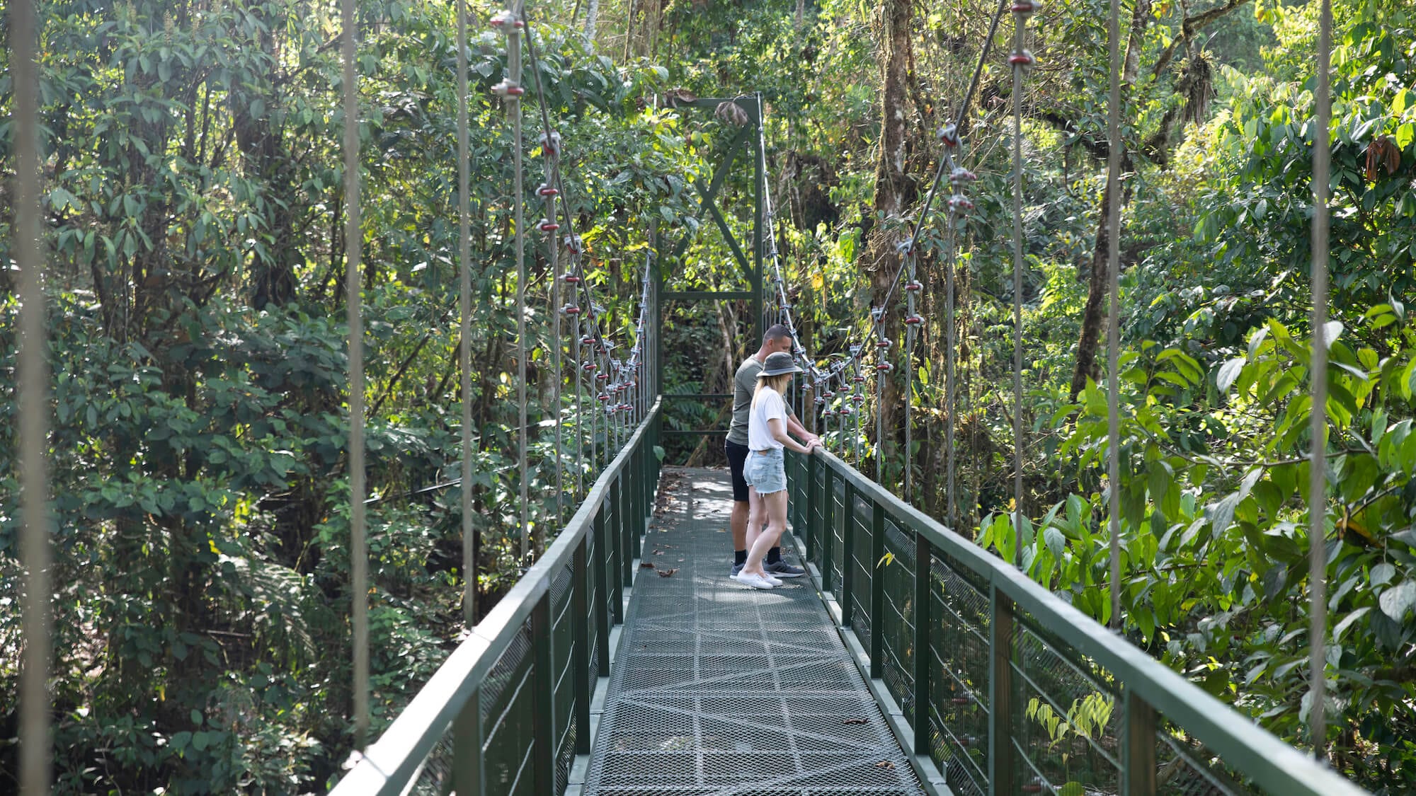Ofrece excursiones por la selva, entre otras