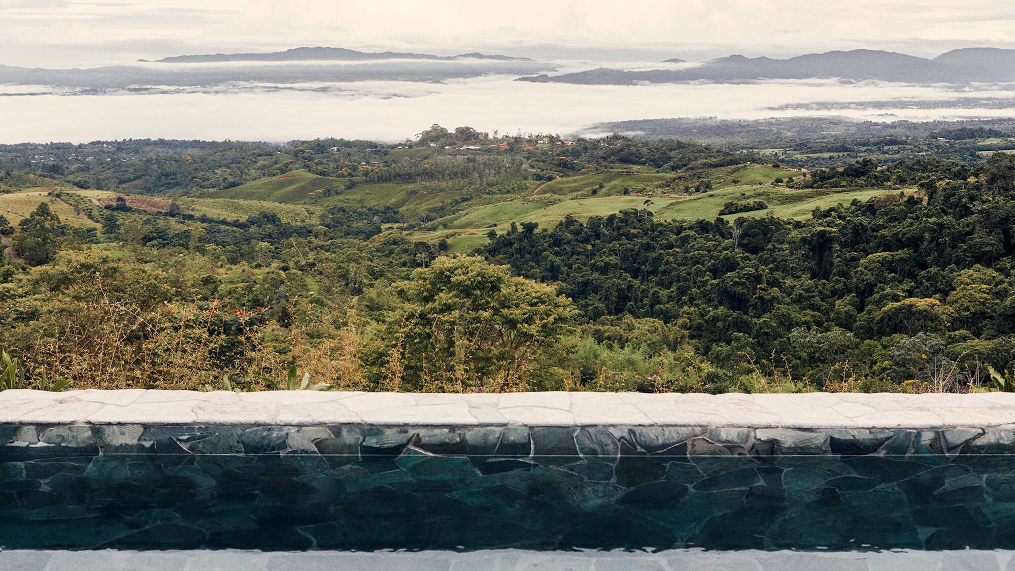 Para disfrutar de un entorno exuberante