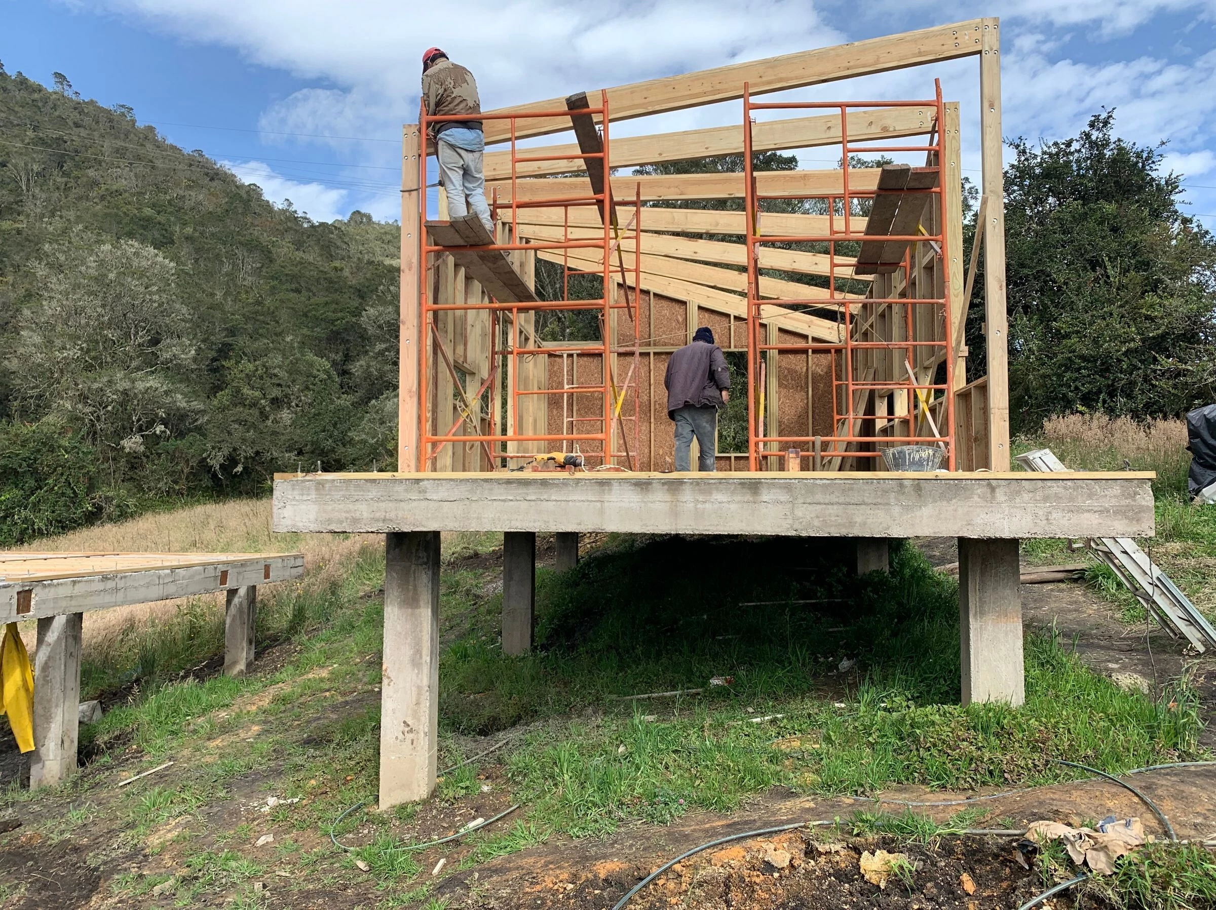 La madera, un material fundamental en la construcción