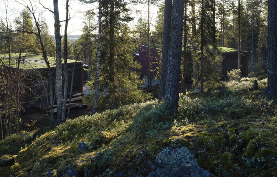 Vegetación en estado puro