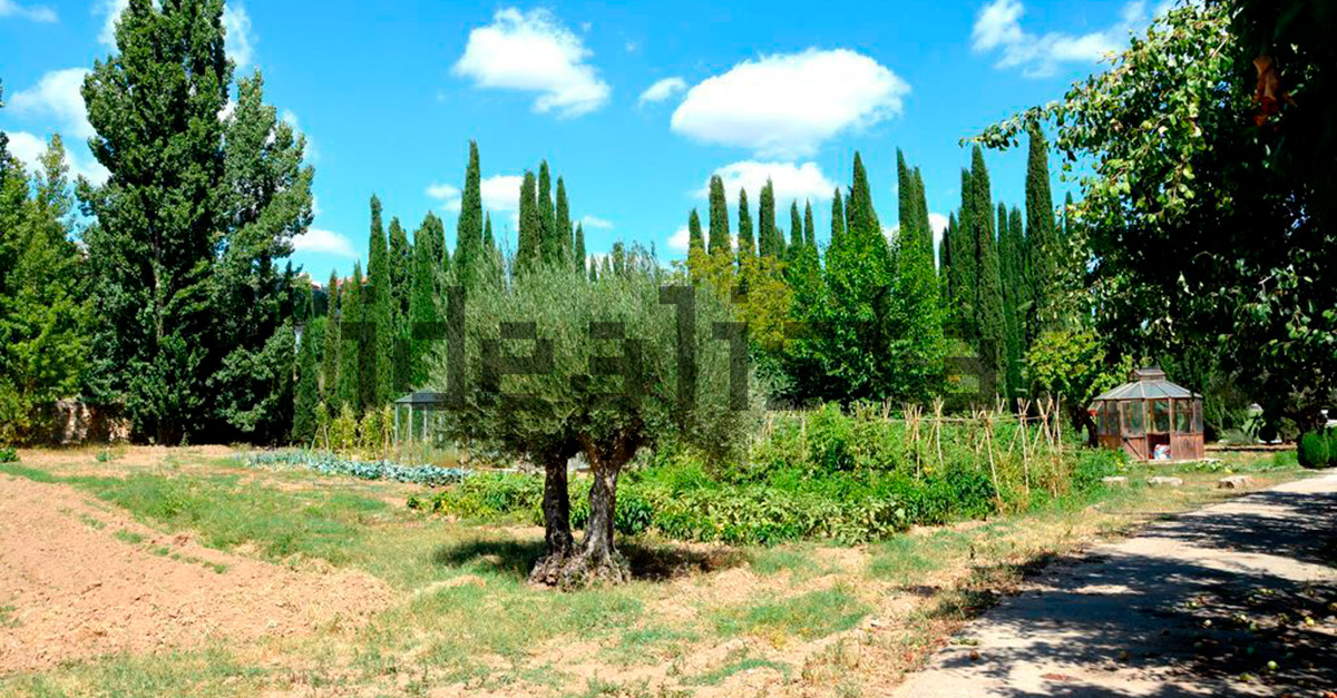 El huerto