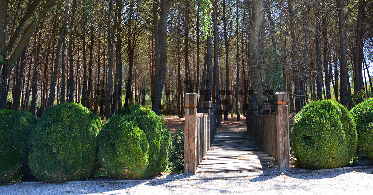 Entrada a la finca