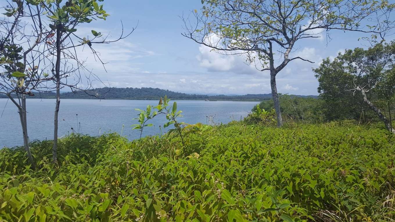 Private Islands Inc.