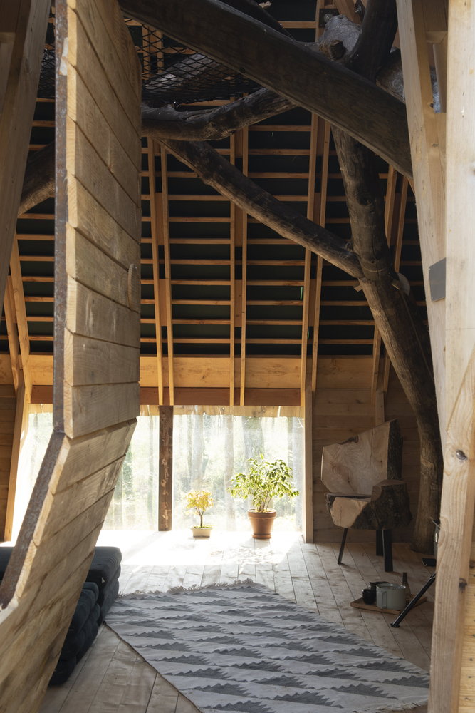 El árbol forma parte del diseño interior