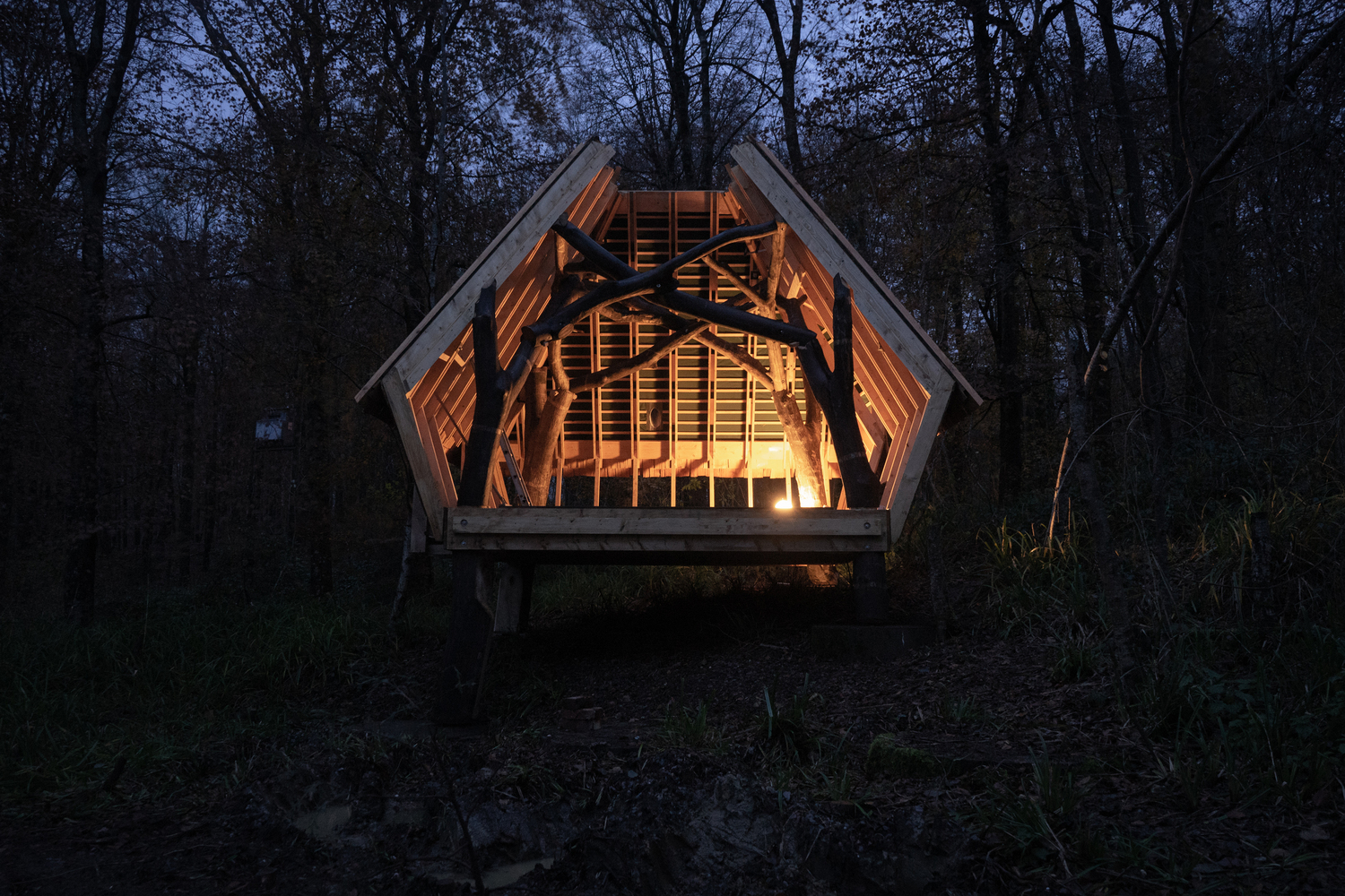 Está en un campus, rodeada de naturaleza