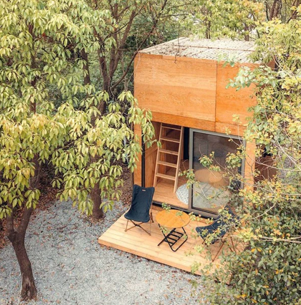 Wiki-Word es un proyecto experimental en Wuhan