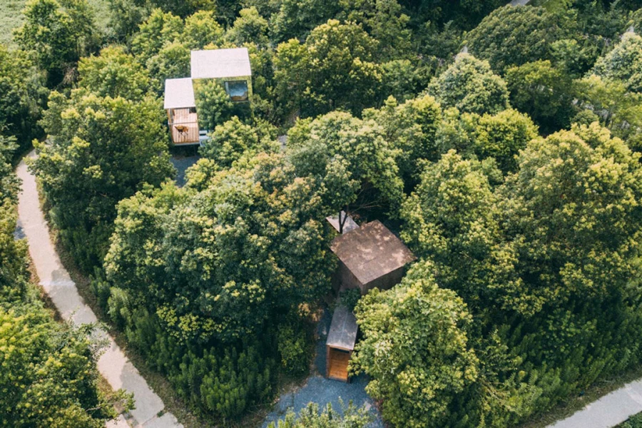 Es un proyecto rodeado de naturaleza