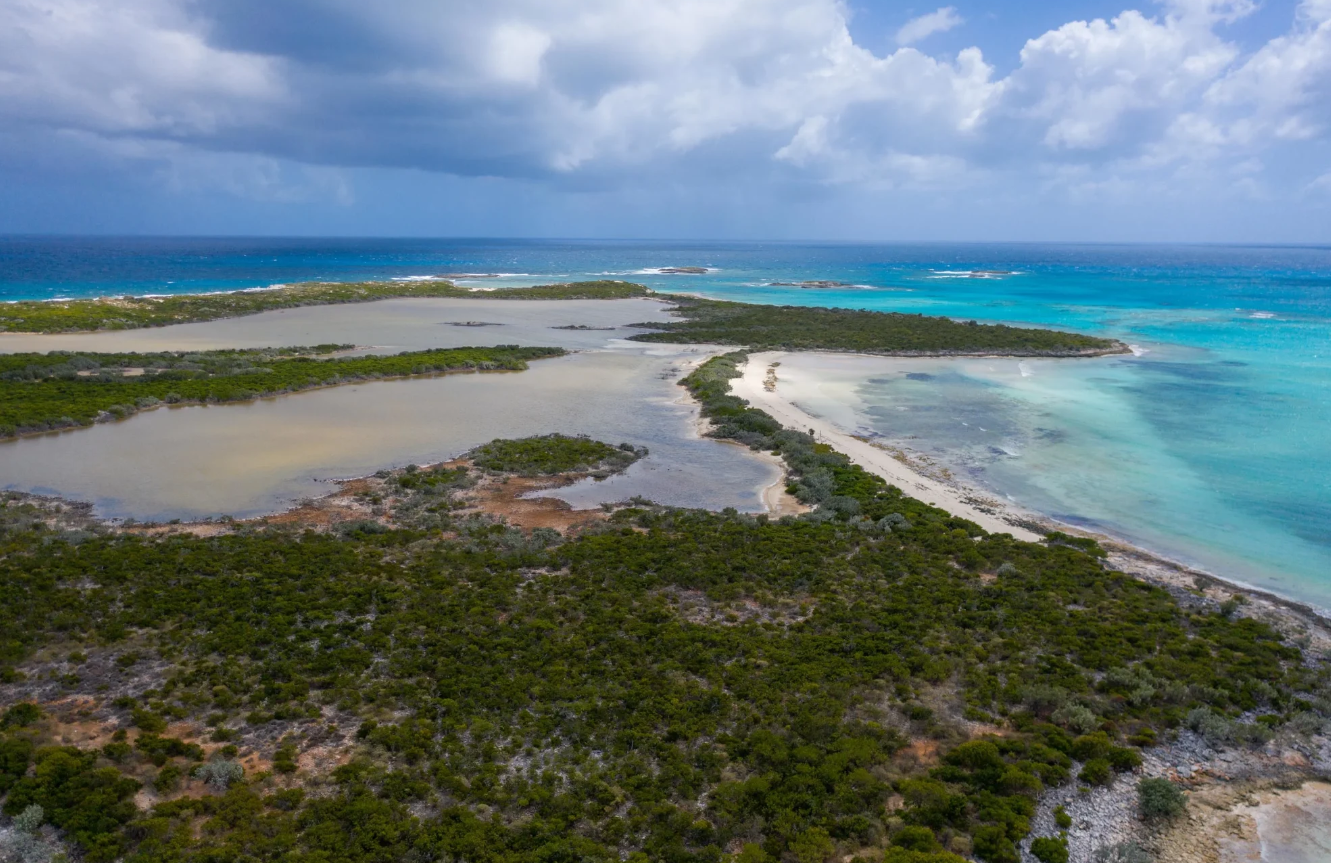 Subasta de la isla en Bahamas